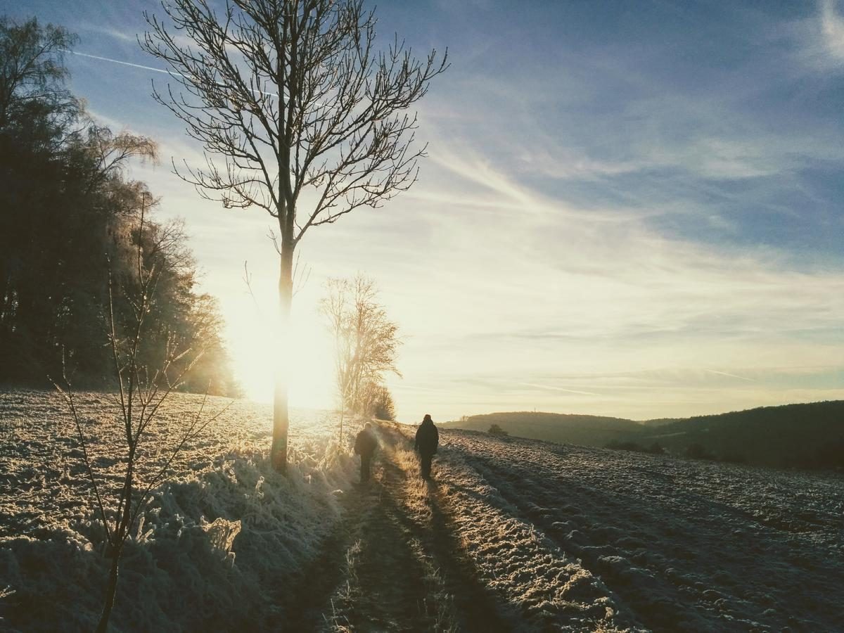 Tag 338/2016: Winterspaziergang