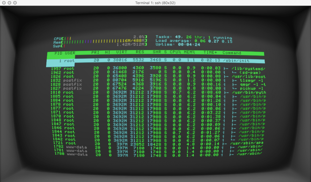 Bildschirmfoto der Terminal App