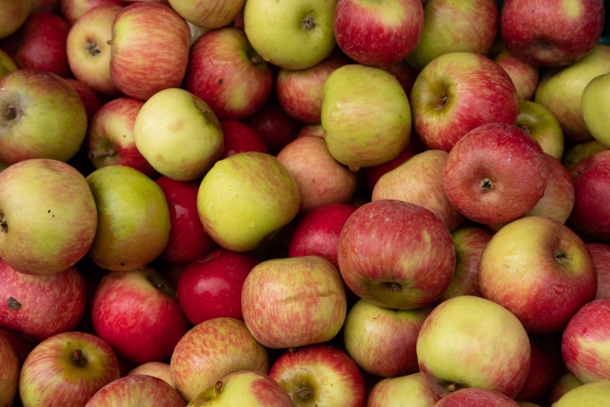 A lot of apples (Photo by Akshay Nanavati)