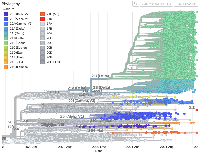 Genomic epidemiology of novel coronavirus – Global subsampling